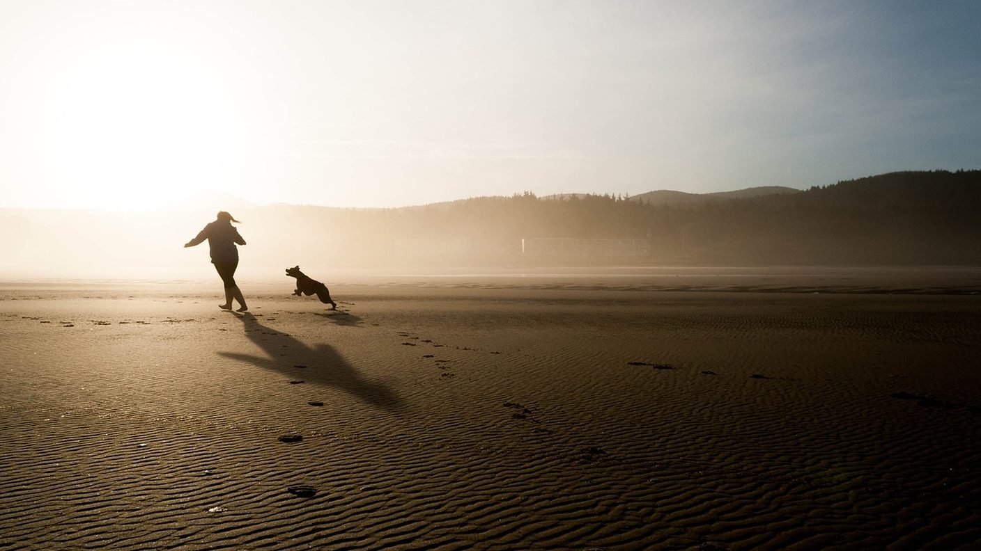 Mensch und Hund laufen am Strand