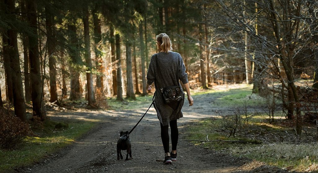 Frau spaziert mit ihrem Hund durch den Wald