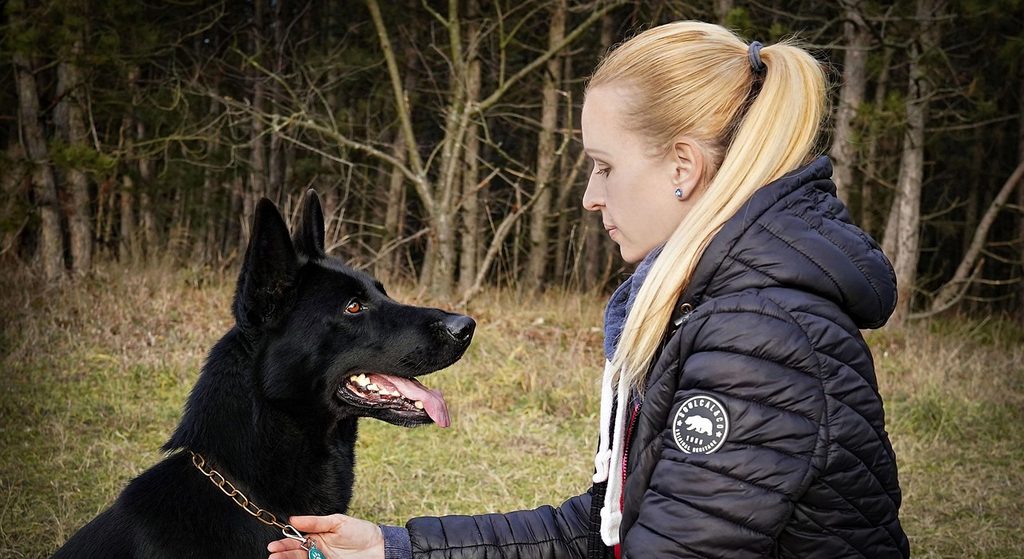 Frau und Hund im Einklang